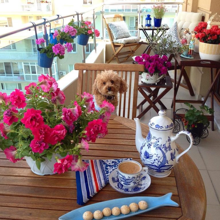Balkon Dekorasyonu Fikirleri - kadinev.com