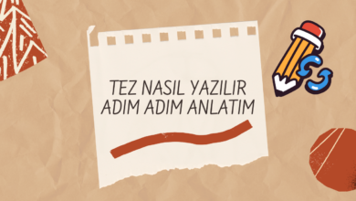 tez nasıl yazılır
