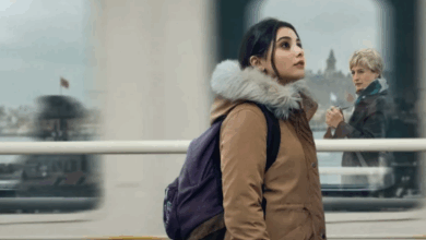 istanbul ansiklopedisi