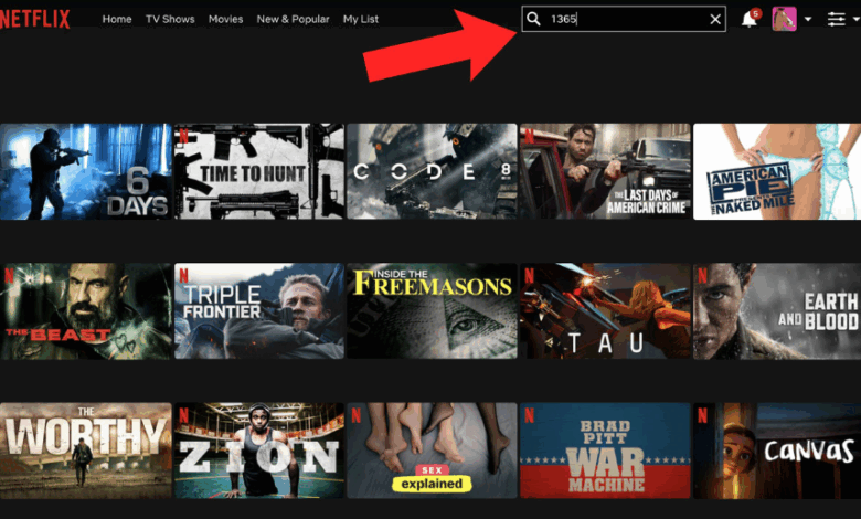 netflix gizli kodları