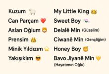 oğlumu telefona kaydetme isimleri